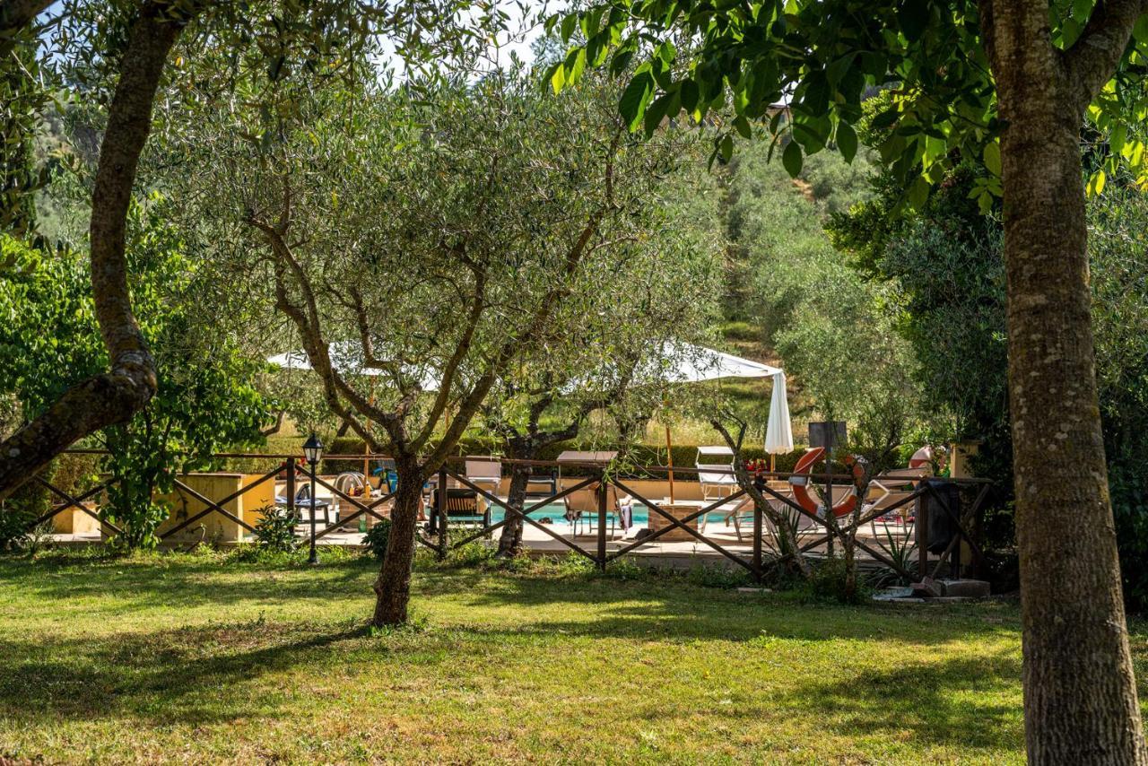 Agriturismo La Fonte Беваня Екстериор снимка