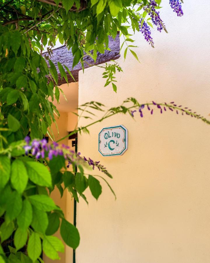 Agriturismo La Fonte Беваня Екстериор снимка